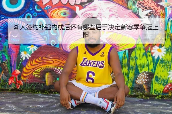 湖人签约补强内线后还有哪些后手决定新赛季争冠上限